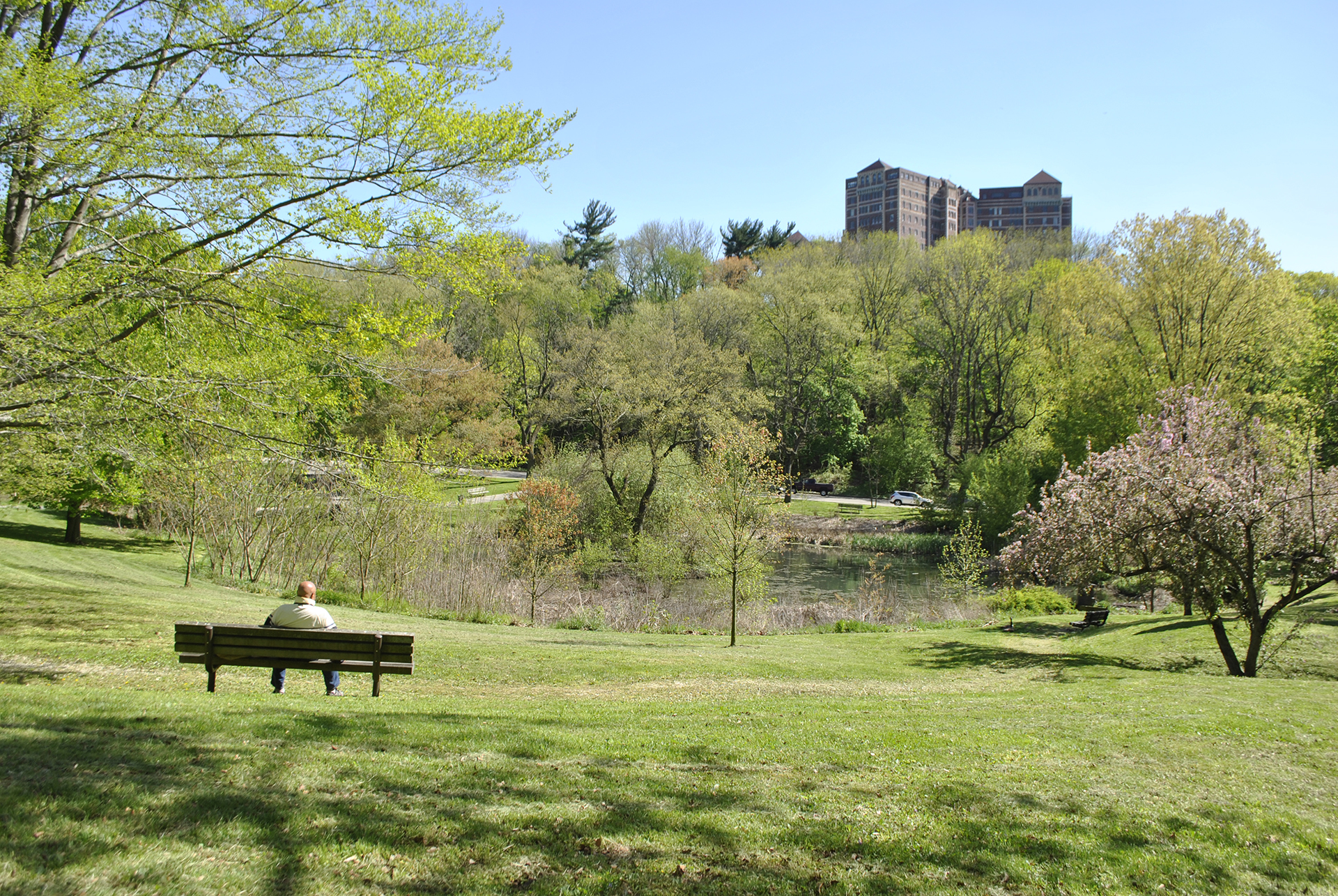 Wetland for stormwater management in Philadelphia, PA
