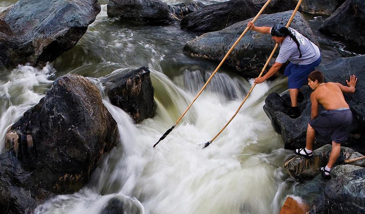 salmon fishing