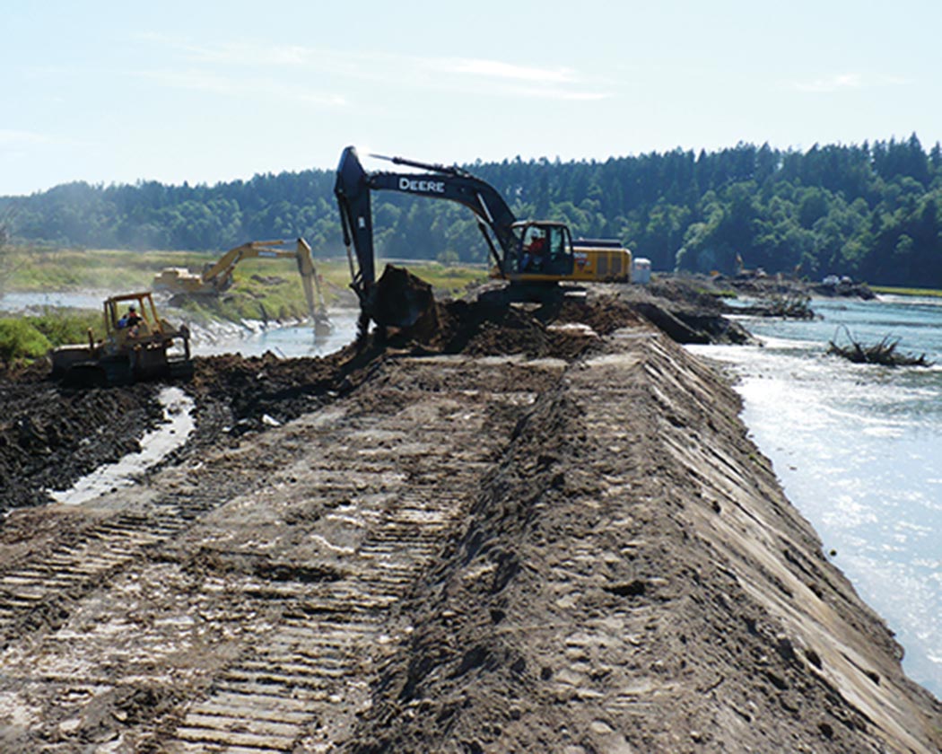 Nisqually River Delta
